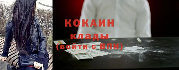 амф Бородино
