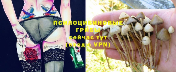 мяу мяу мука Верхнеуральск